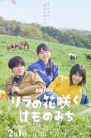 丁香花电影播放百度云资源