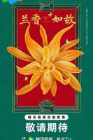《兰香如故》电视剧免费